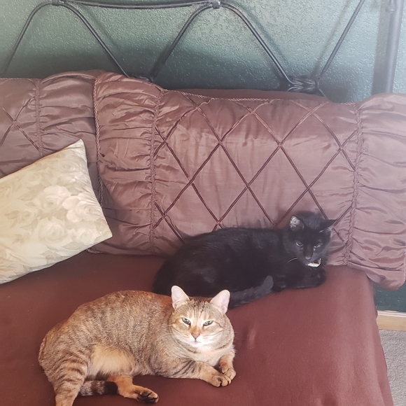 Meet your Posher, Salesia - Picture 13 of 16